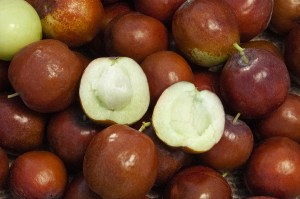 honey-jar-jujube