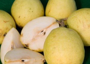 pearhood3.jpg