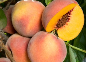 peachohenry1.jpg