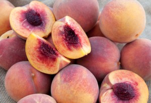 octoberfest-peach