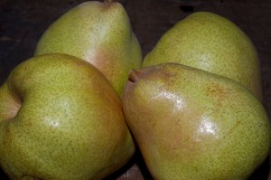 Seckel__Sugar__P_502418e4c35a3.jpg